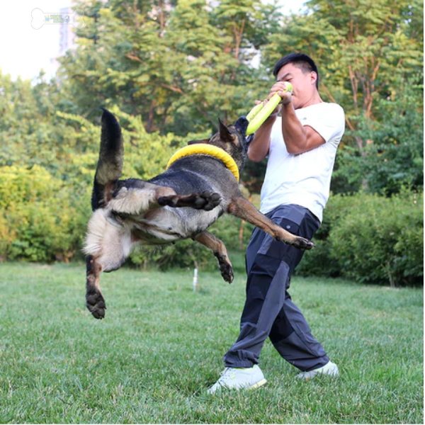 Juguete de disco de masticación de perros