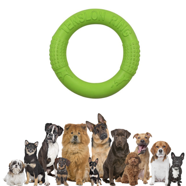 Juguete de disco de masticación de perros