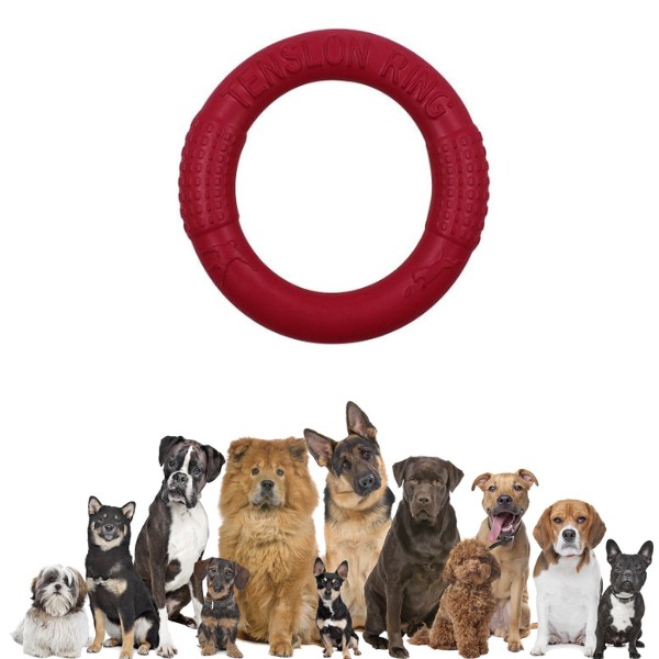 Juguete de disco de masticación de perros