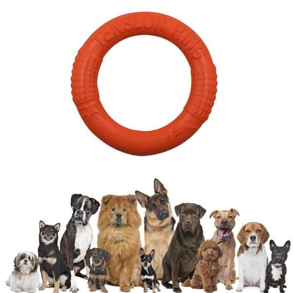 Juguete de disco de masticación de perros