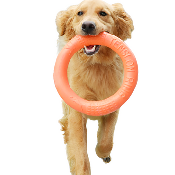 Juguete de disco de masticación de perros