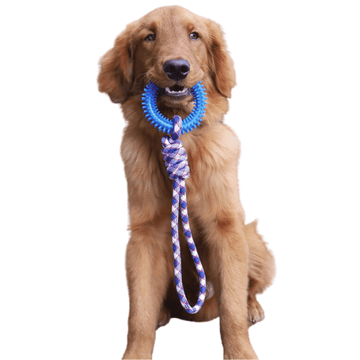 Juguete de cuerda interactivo para perros
