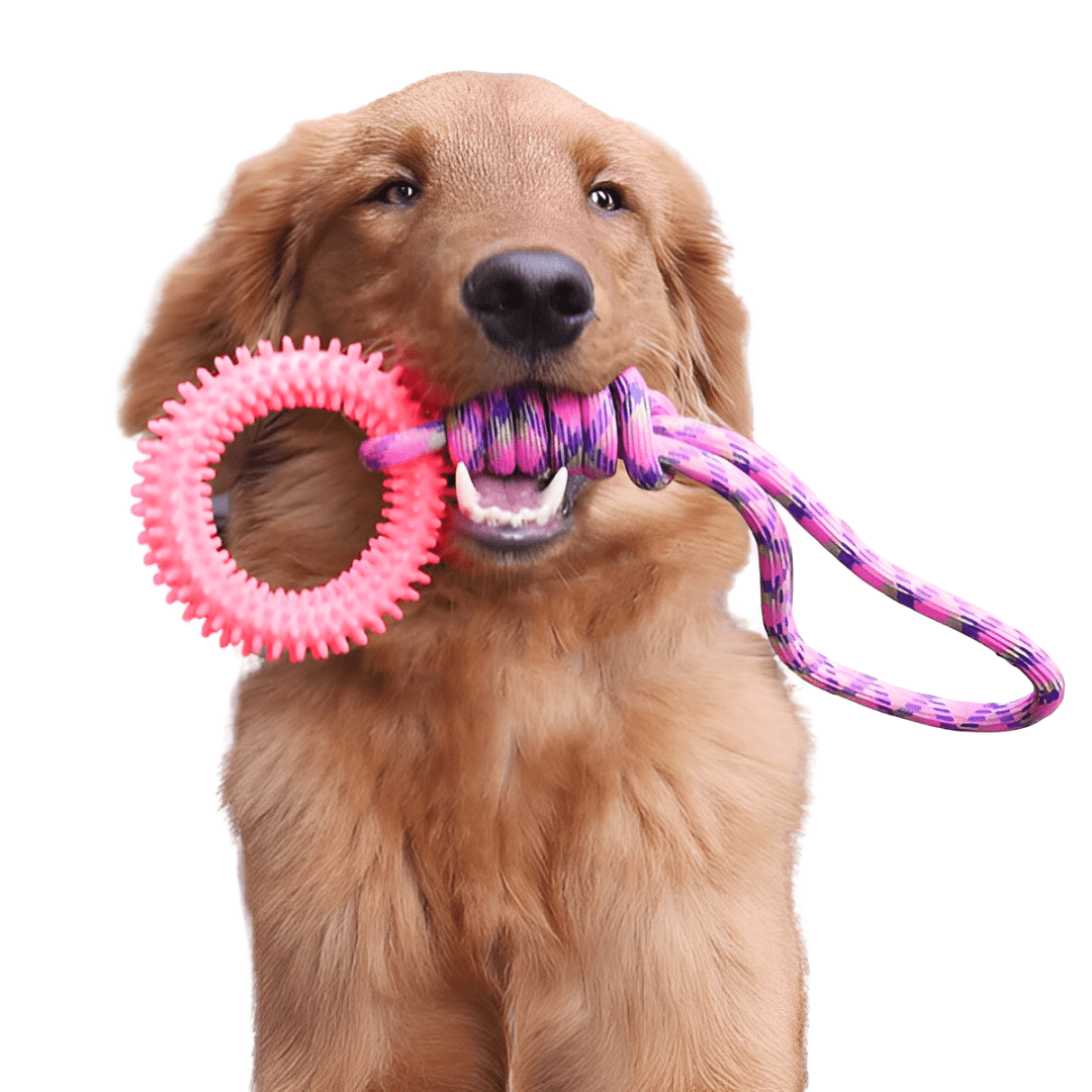 Juguete de cuerda interactivo para perros