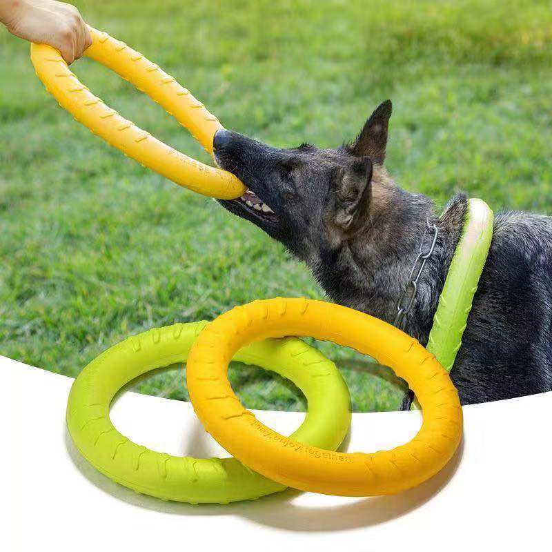 Juguete de disco de masticación de perros