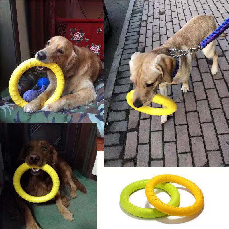 Juguete de disco de masticación de perros